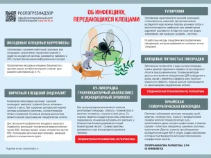 Информационное сообщение
